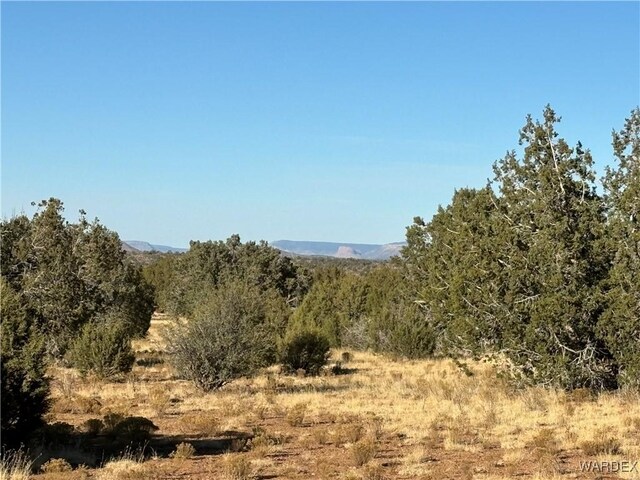 070B Denny, Seligman, AZ 86337 - photo 31
