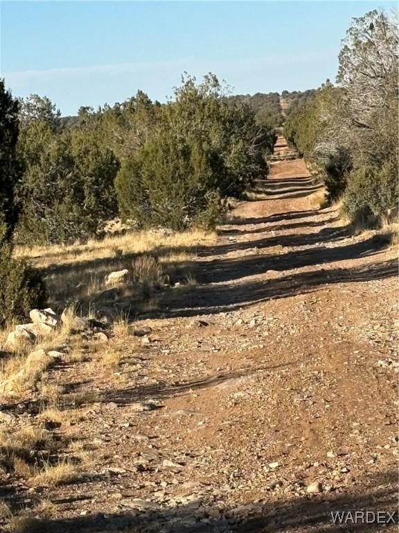 070B Denny, Seligman, AZ 86337 - photo 41