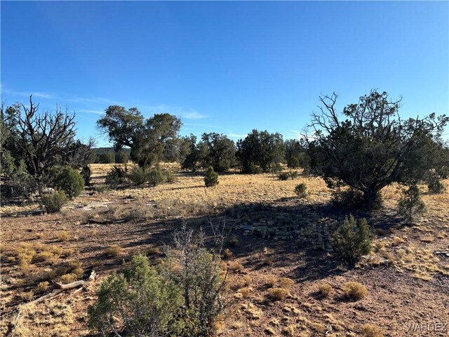 070B Denny, Seligman, AZ 86337 - photo 5