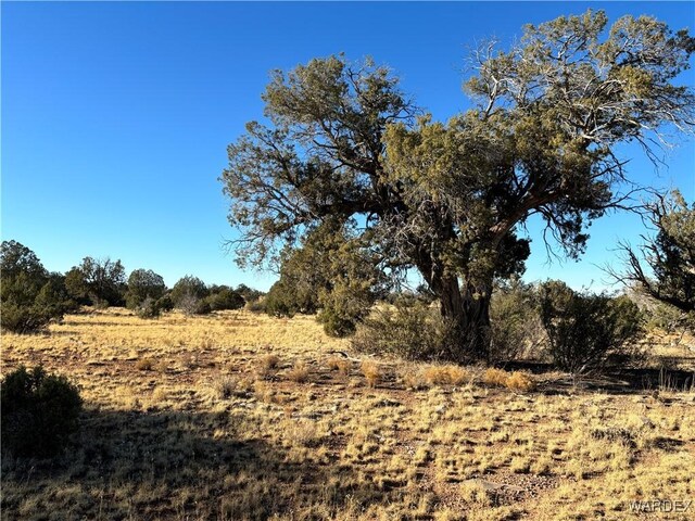 070B Denny, Seligman, AZ 86337 - photo 25