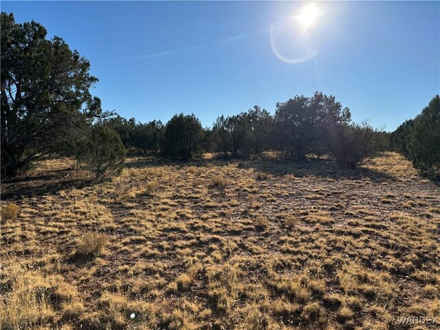 070B Denny, Seligman, AZ 86337 - photo 6