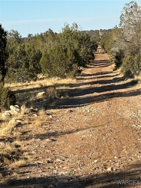 070B Denny, Seligman, AZ 86337 - photo 40