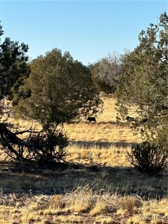 070B Denny, Seligman, AZ 86337 - photo 1