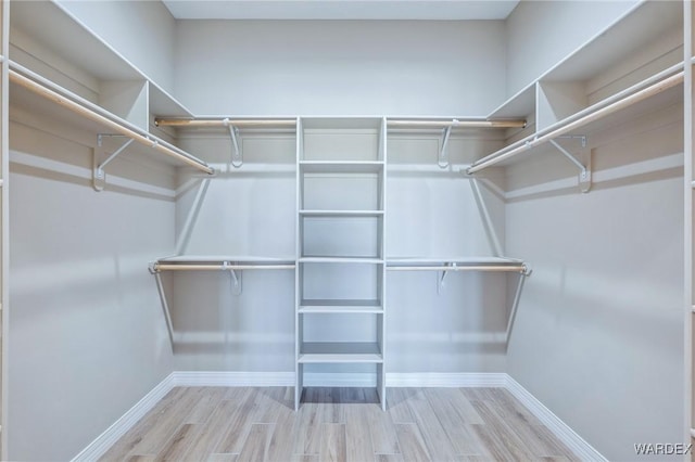 spacious closet with light wood-type flooring