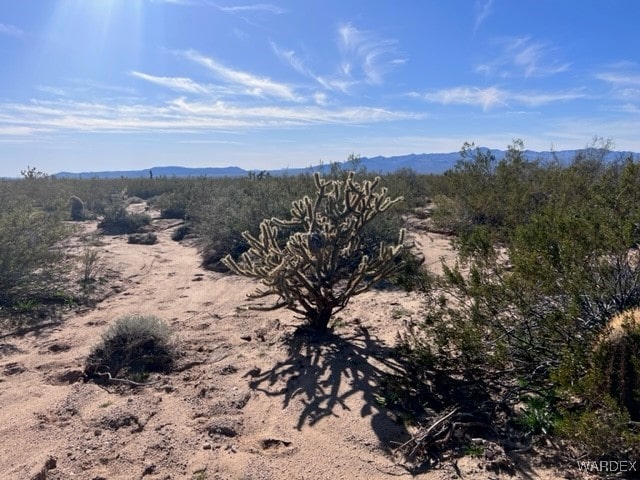 0 Gene Autry, Yucca AZ, 86438 land for sale