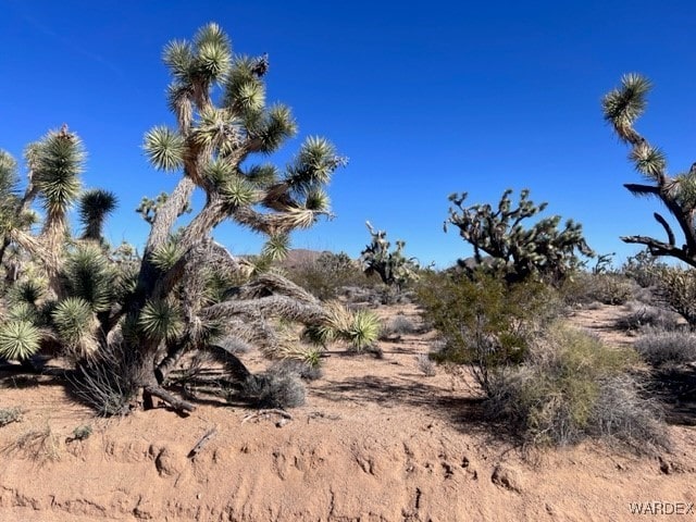 Listing photo 3 for 0 Gene Autry, Yucca AZ 86438