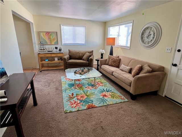 view of carpeted living room