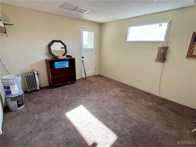 interior space featuring a textured ceiling, carpet floors, and a wealth of natural light