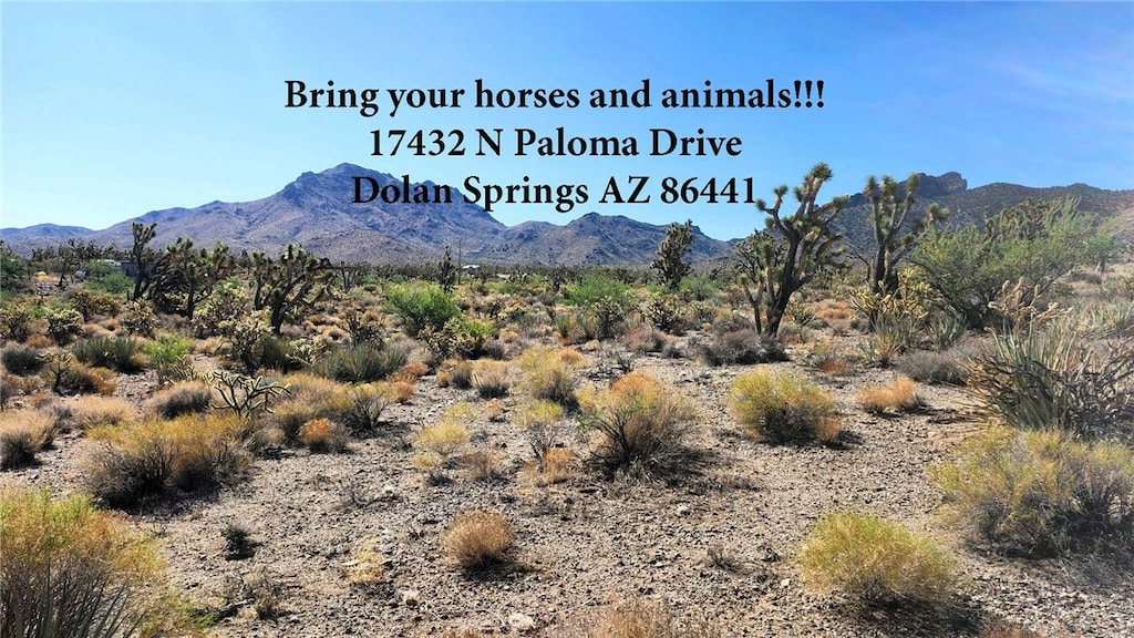 17432 N Paloma Dr, Dolan Springs, AZ 86441 - photo 1