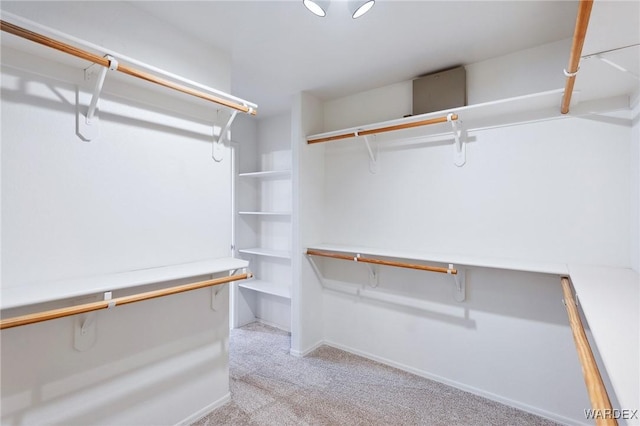 spacious closet featuring light colored carpet