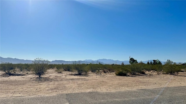 487 S Mormon Flat Rd, Golden Valley, AZ 86413 - photo 36