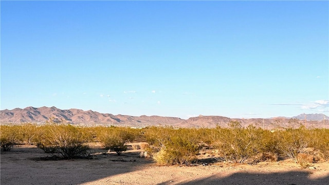 487 S Mormon Flat Rd, Golden Valley, AZ 86413 - photo 34