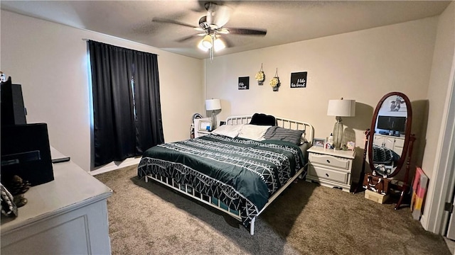 487 S Mormon Flat Rd, Golden Valley, AZ 86413 - photo 13
