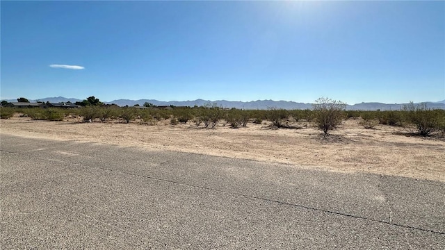 487 S Mormon Flat Rd, Golden Valley, AZ 86413 - photo 37