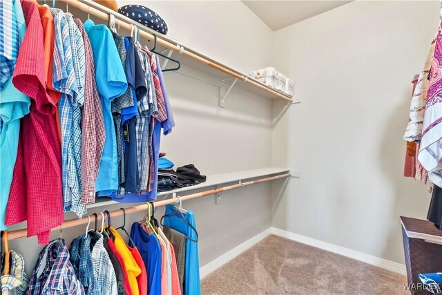 spacious closet with carpet floors