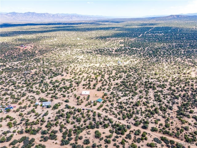 drone / aerial view featuring a mountain view