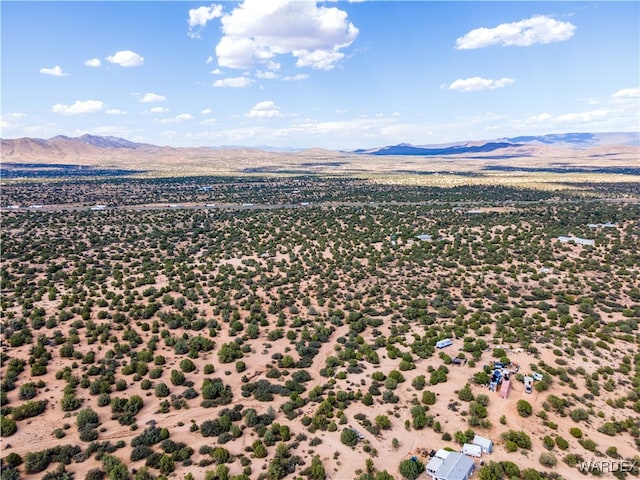 drone / aerial view with a mountain view