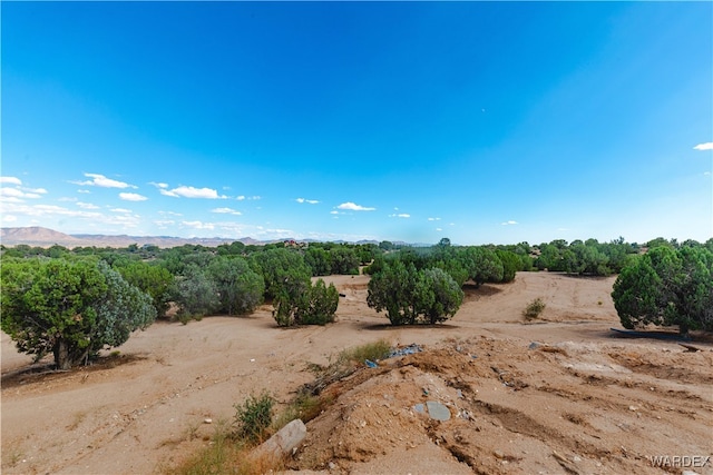 view of nature with a rural view