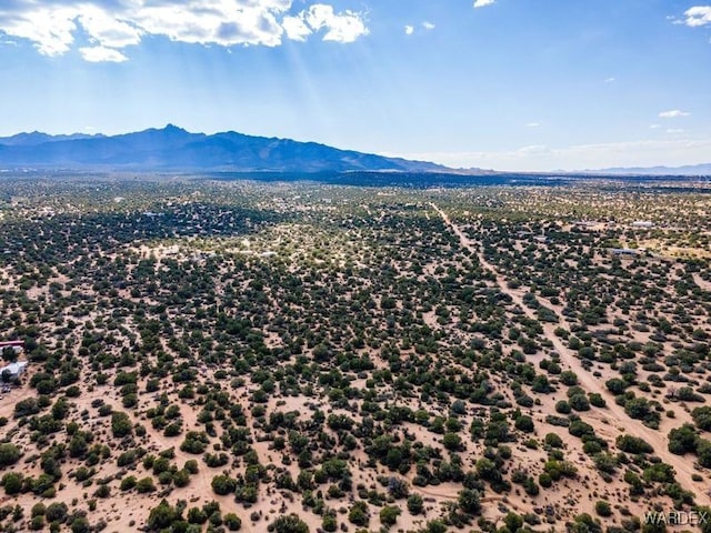 bird's eye view with a mountain view