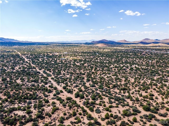 bird's eye view with a mountain view