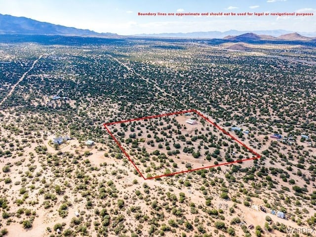 birds eye view of property featuring a mountain view