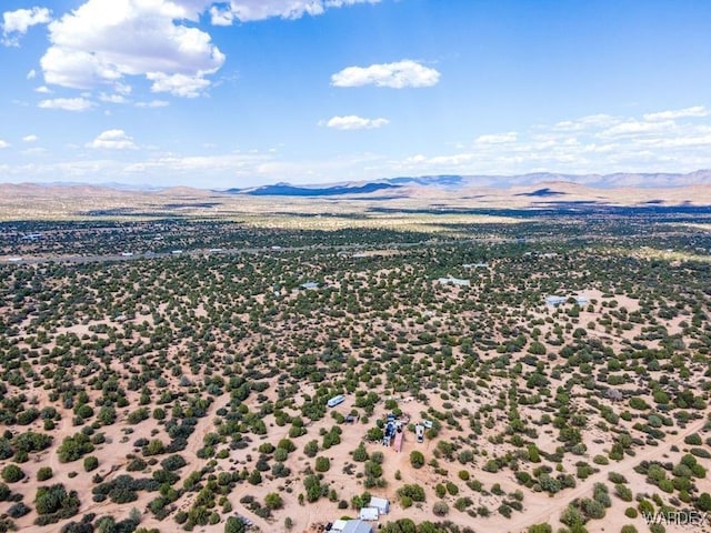 drone / aerial view with a mountain view