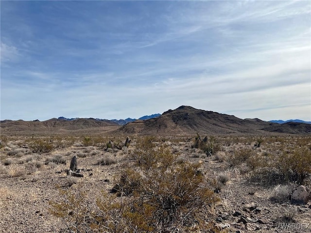 0000 Canyon Dr, Dolan Springs AZ, 86441 land for sale