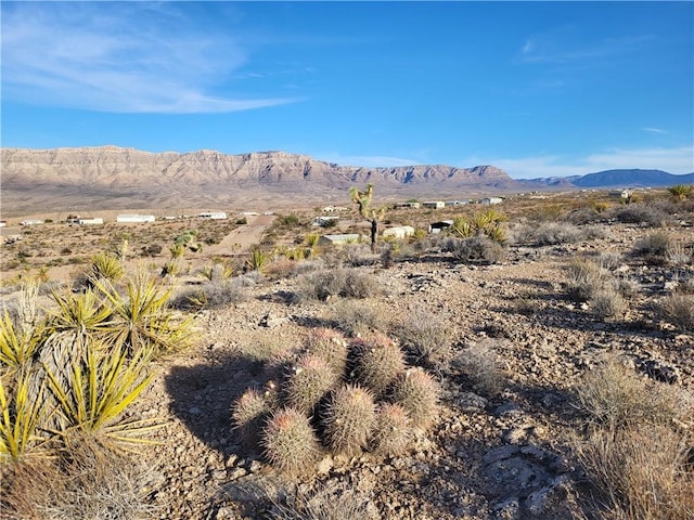 840 E Dellenbaugh Dr, Meadview, AZ 86444 - photo 1