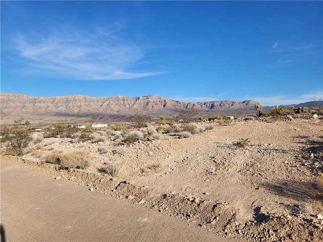 840 E Dellenbaugh Dr, Meadview, AZ 86444 - photo 4
