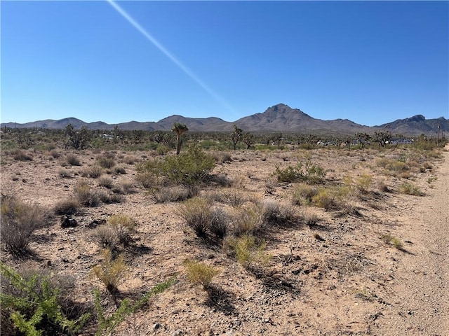 000 N Pueblo Rd, Dolan Springs, AZ 86441 - photo 6
