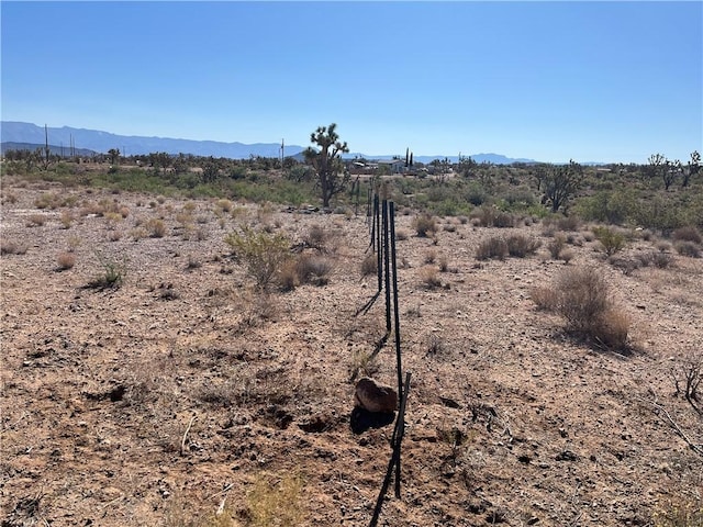 000 N Pueblo Rd, Dolan Springs, AZ 86441 - photo 4
