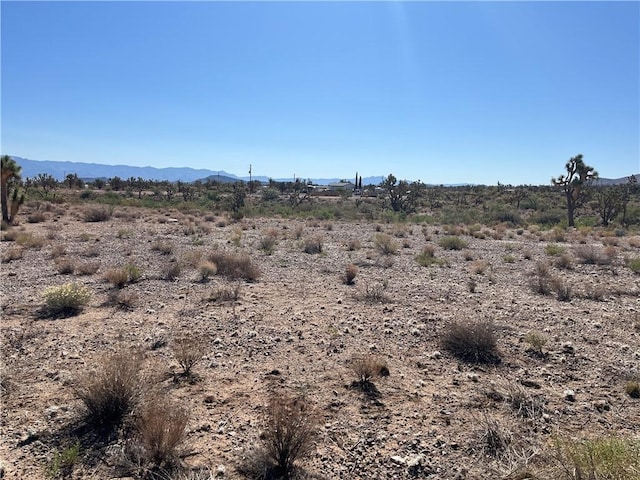 000 N Pueblo Rd, Dolan Springs, AZ 86441 - photo 2