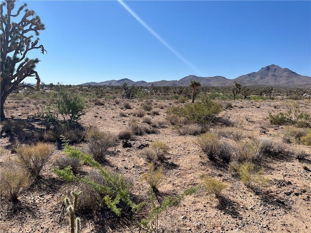 000 N Pueblo Rd, Dolan Springs, AZ 86441 - photo 5