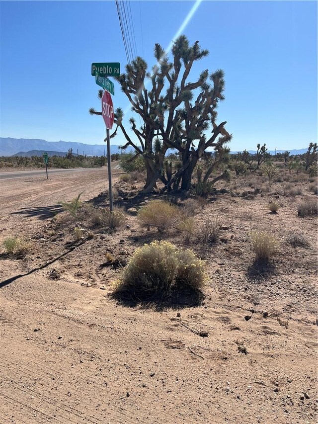 000 N Pueblo Rd, Dolan Springs, AZ 86441 - photo 10