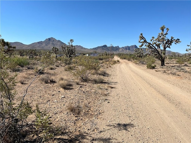 000 N Pueblo Rd, Dolan Springs, AZ 86441 - photo 18