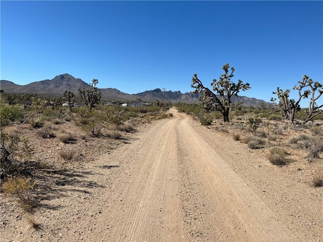 000 N Pueblo Rd, Dolan Springs, AZ 86441 - photo 22
