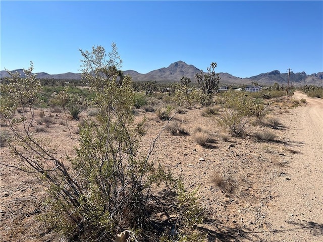 000 N Pueblo Rd, Dolan Springs, AZ 86441 - photo 17