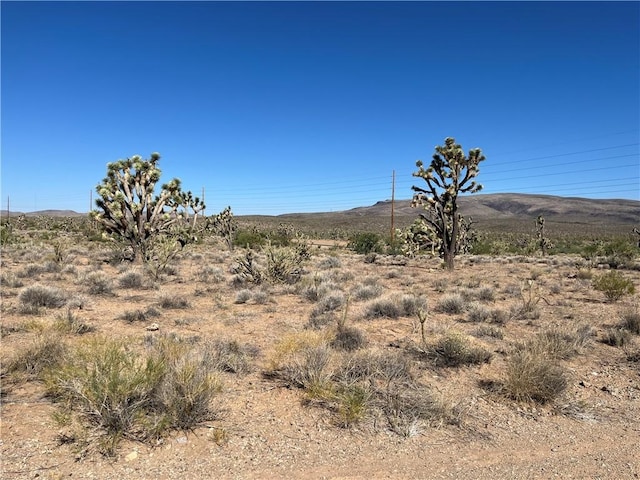 000 N Pueblo Rd, Dolan Springs, AZ 86441 - photo 21