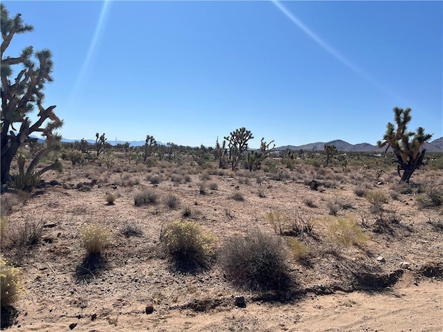 000 N Pueblo Rd, Dolan Springs, AZ 86441 - photo 13