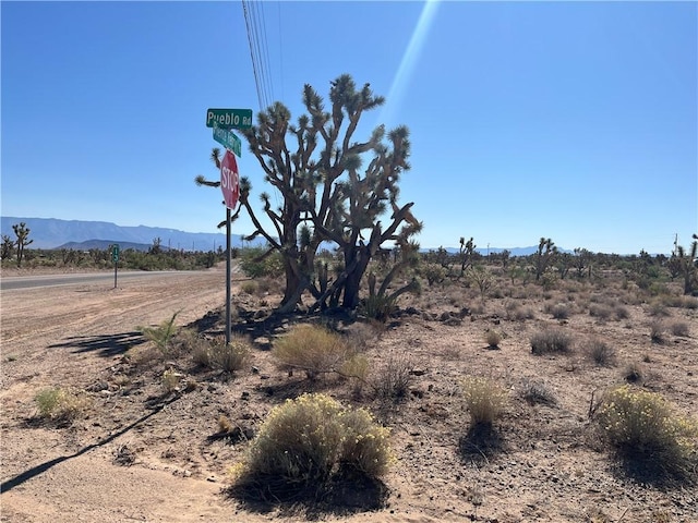 000 N Pueblo Rd, Dolan Springs, AZ 86441 - photo 11