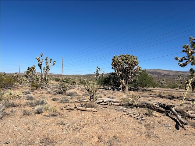 000 N Pueblo Rd, Dolan Springs, AZ 86441 - photo 15