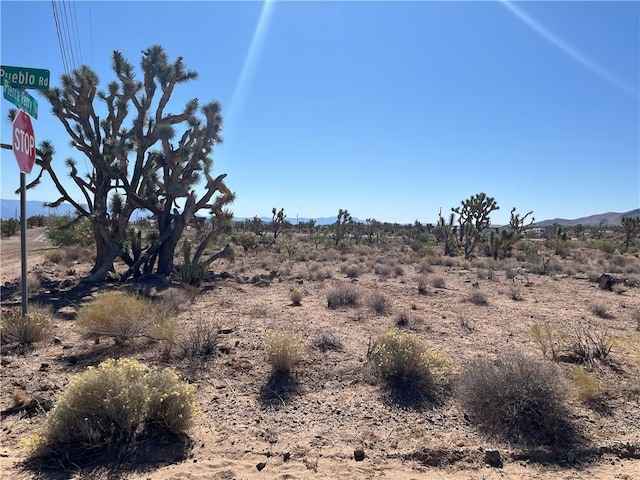 000 N Pueblo Rd, Dolan Springs, AZ 86441 - photo 12