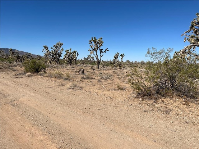 000 N Pueblo Rd, Dolan Springs, AZ 86441 - photo 8