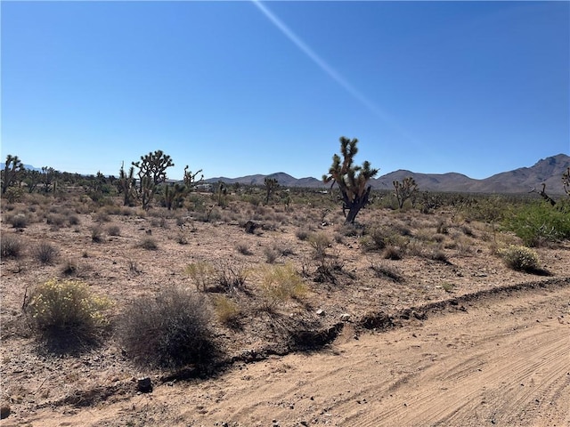 000 N Pueblo Rd, Dolan Springs, AZ 86441 - photo 7