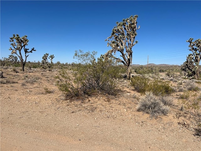 000 N Pueblo Rd, Dolan Springs, AZ 86441 - photo 9