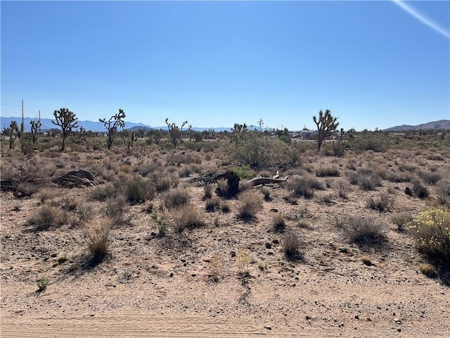 000 N Pueblo Rd, Dolan Springs, AZ 86441 - photo 1