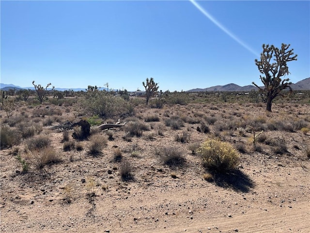 000 N Pueblo Rd, Dolan Springs, AZ 86441 - photo 3