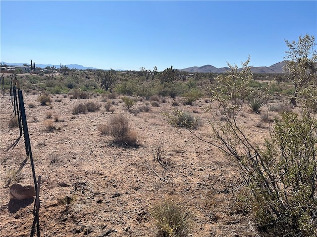 000 N Pueblo Rd, Dolan Springs, AZ 86441 - photo 20