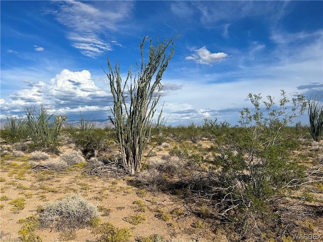 0000 S Cherry, Yucca AZ, 86438 land for sale