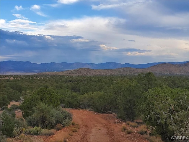 view of mountain feature